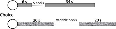 Basic Behavioral Processes Involved in <mark class="highlighted">Procrastination</mark>